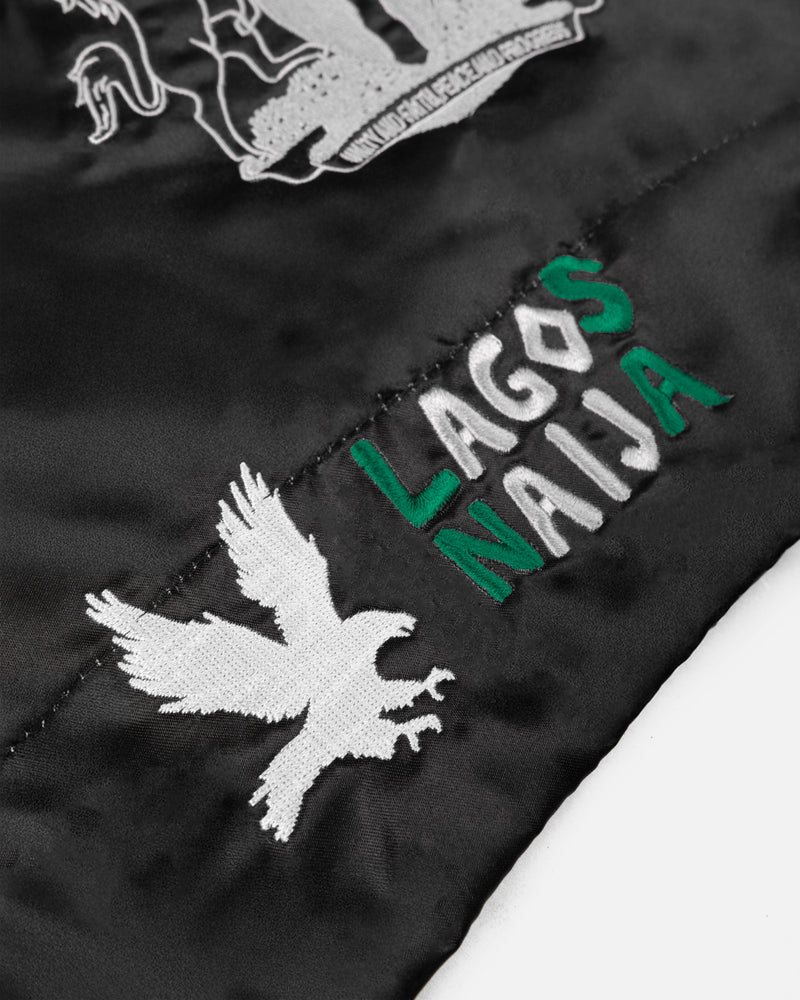 Patta x Fairtex Homecoming 2025 Muay Thai Shorts (Multi/Black/Green)